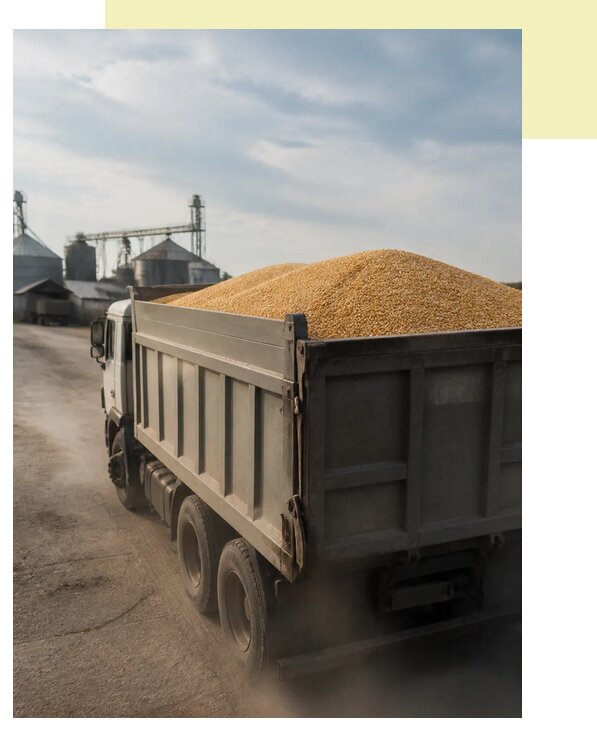 Перевозка сельхозпродукции навалом в Новосибирск по цене от 3050 р. | Агросервис-Нвс
