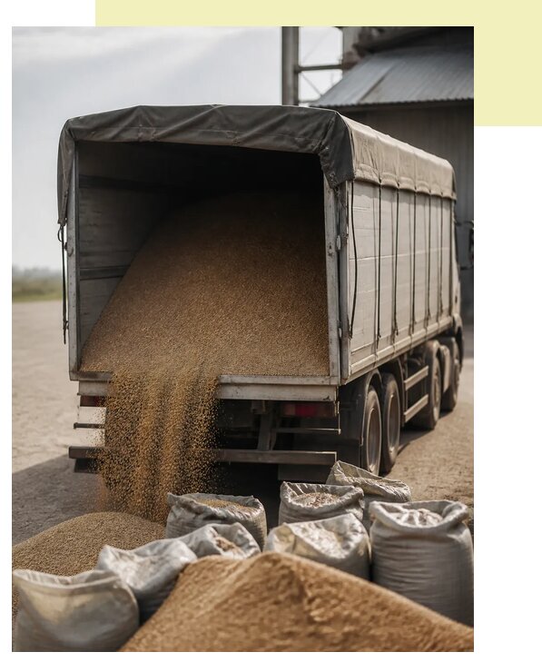 Перевозка фуражного зерна в Новосибирск по цене от 1525 р. | Агросервис-Нвс